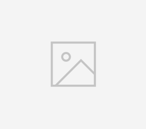 SINGAPORE TOP 3 SALES